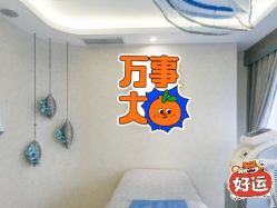 -健身堂科技美肌SPA