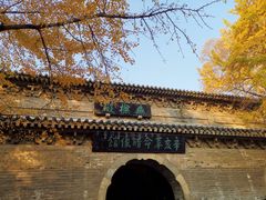 -灵谷景区