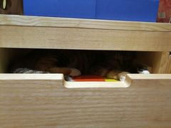 -猫的天空之城概念书店(杭州南宋御街店)