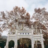 秋日南京不可错过的风景|栖霞山名胜风景区打卡攻略