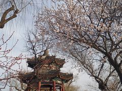 -颐和园
