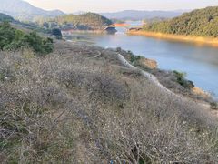 -广州市流溪河国家森林公园