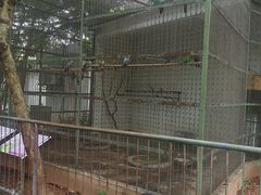 -广东茂名森林公园