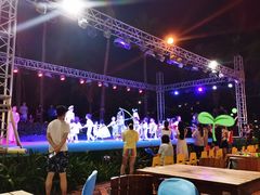-渔家火锅·海鲜自助餐·演艺(亚龙湾天域酒店)