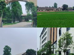 -乌村
