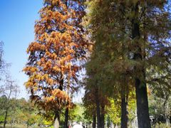 -南国桃园旅游度假区