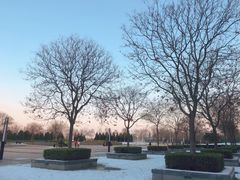 -轻武器博物馆