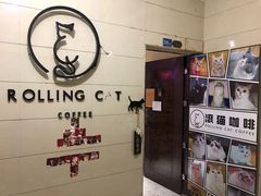 -滚猫咖啡·猫咖·猫友好撸猫(未来城店)