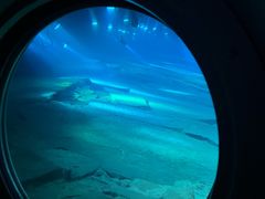 -白鹤梁水下博物馆
