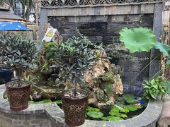 -土灶人家柴火鸡(彭州店)