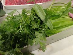 -东道煮牛肉火锅(东盛大街店)