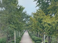 -白鹭湾湿地公园