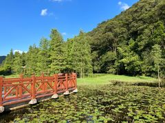 -广州市石门国家森林公园