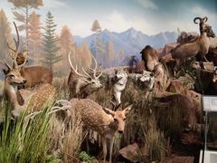 -陕西自然博物馆