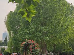-睦南公园