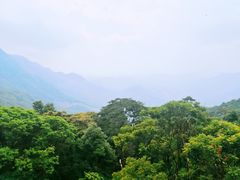-广州市石门国家森林公园