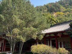 -徐州汉画像石艺术馆