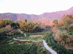 -塔川景区