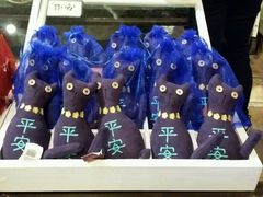 -猫咪博物馆(顶澳仔猫街店)