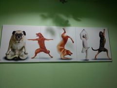 可爱吧-雅米拉艺术中心(少儿舞蹈培训)