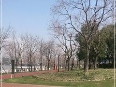 -上海山野camping·户外天幕烧烤·团建拓展营地