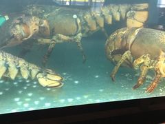 -Burger & Lobster(Dean Street)
