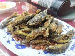 -生态苑农庄(十里画廊遇龙河店)