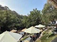 -大雁山风景区