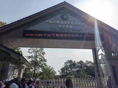 -中国大熊猫保护研究中心雅安碧峰峡基地