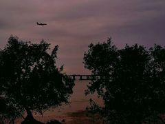 -宝安西湾红树林湿地公园