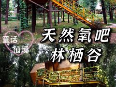 -唆了蜜团建·趣味沉浸式剧情·蹦床轰趴运动拓展基地(天津旗舰店)