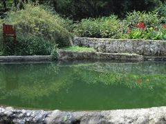 -成都市活水公园
