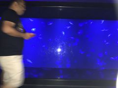 -暹罗海洋世界