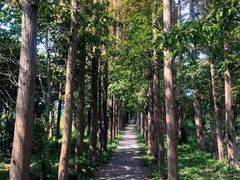 -上海长兴岛郊野公园