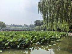 -中国农业博物馆