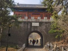 -云岗森林公园