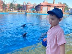 -三亚海昌梦幻海洋不夜城