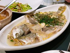 大汤黄鱼-民国红公馆·秦淮八艳(夫子庙店)