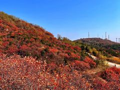 -北京西山国家森林公园