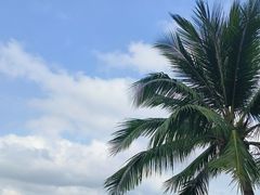 -三亚山海天JW万豪酒店