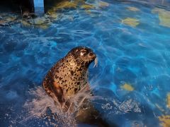 -太平洋海底世界