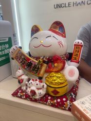 -憨大叔儿童摄影 80店连锁(柯桥店)