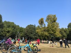 -重庆彩云湖湿地公园