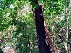 -七仙岭温泉国家森林公园