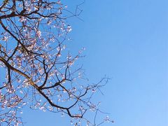 -广东外语外贸大学(白云山校区)