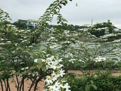 -东莞植物园