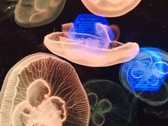 -北海·海洋之窗