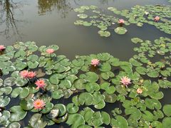 -东莞植物园