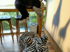 -ZOO COFFEE 动物园咖啡(亦庄店)