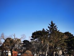 -长春市南湖公园